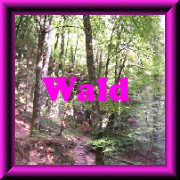 Wald